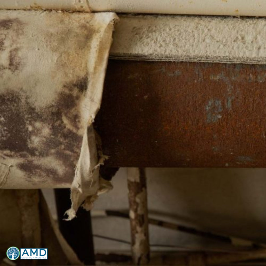 Asbestos testing services being conducted in older home before renovation