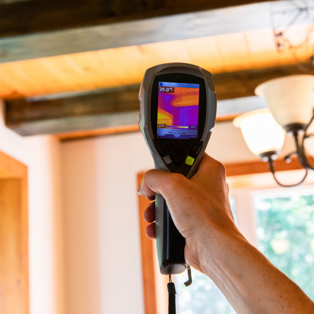 Hidden mold growth in home causing potential health risks