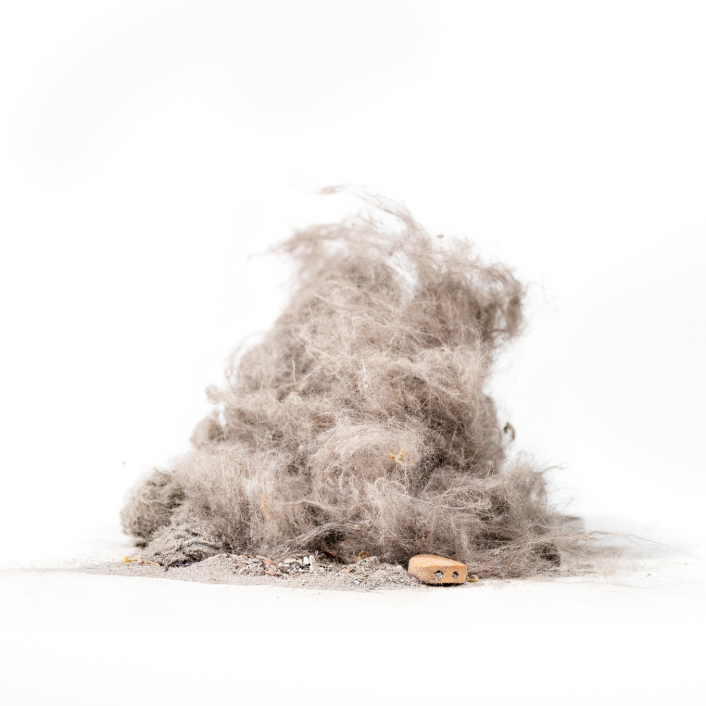 Indoor environmental hazards affecting air quality and home health