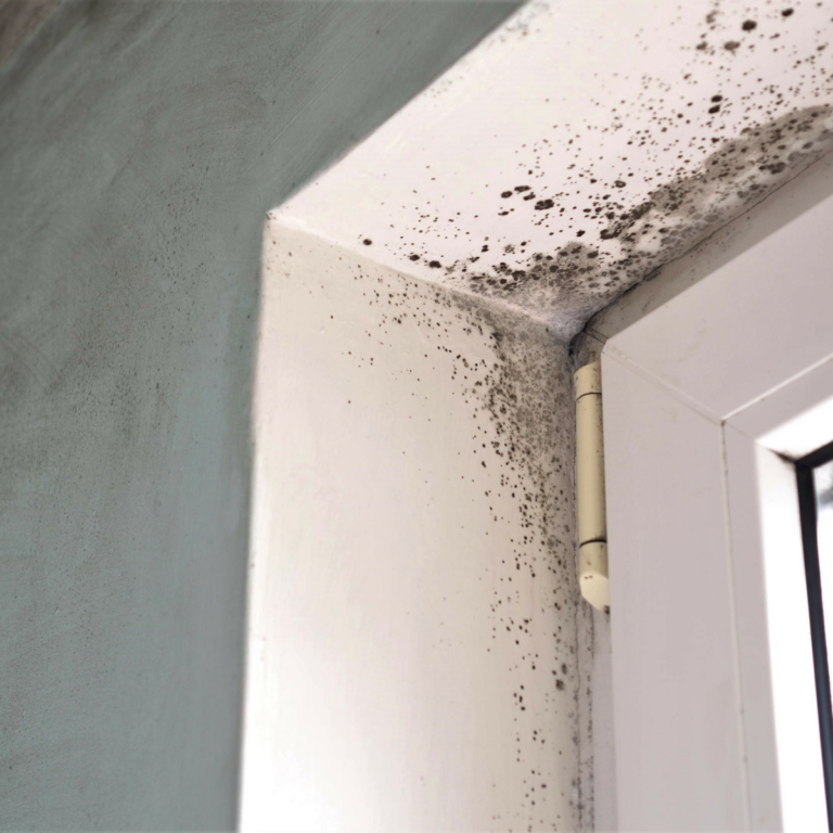 Issues like mold, asbestos, lead-based paint, and other hazardous materials often raise important questions about health, safety, and regulatory compliance.